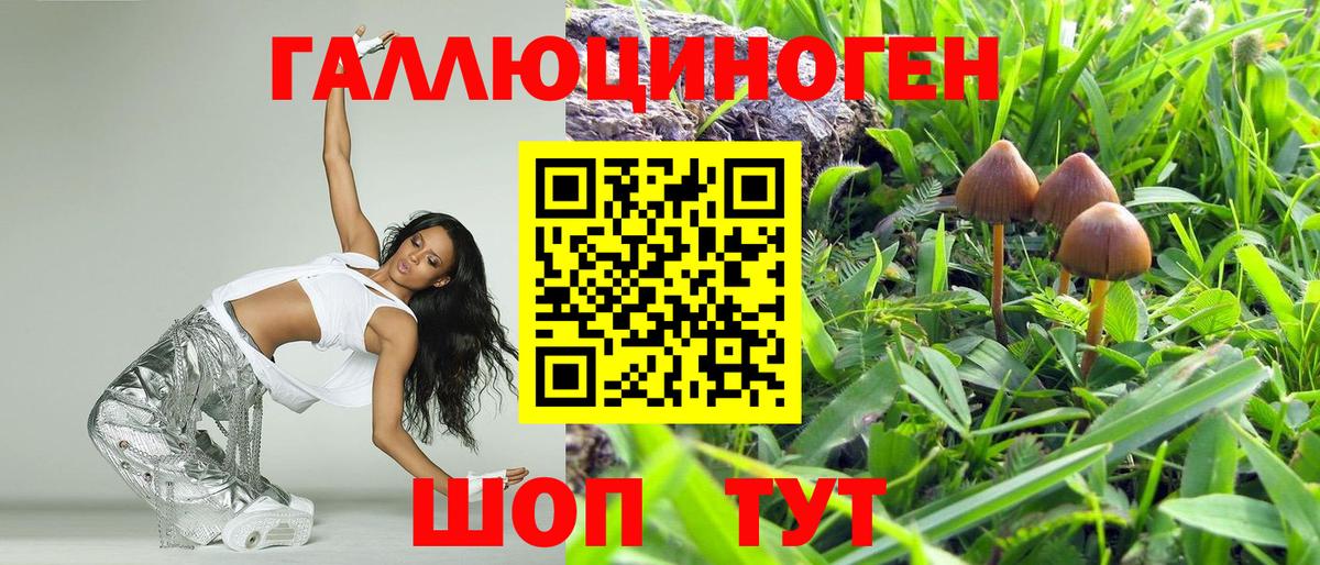 Богородицк  Псилоцибиновые грибы MAGIC MUSHROOMS  Вход с VPN  Галлюциногенные грибы Psilocybe 